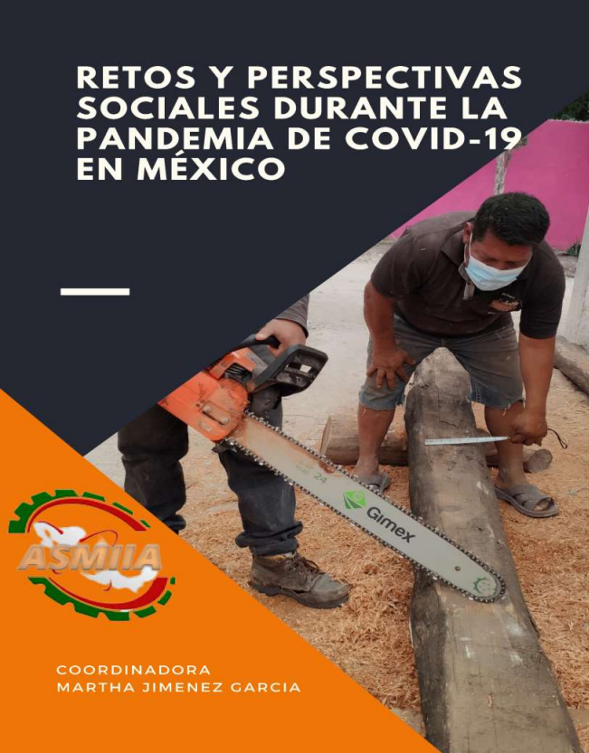 Portada capitulo Movilidad e Incidencia delictiva en la pandemia de COVID-19: Un análisis para la Zona Metropolitana de Guadalajara, en Retos y perspectivas sociales durante la pandemia de COVID-19 en México