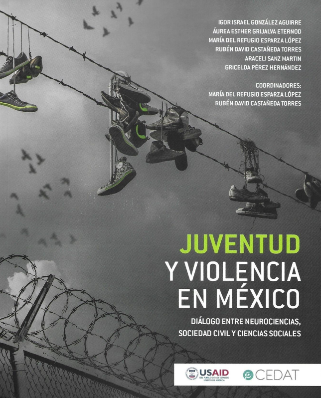 Portada capitulo Relación entre el comportamiento normativo y el trato recibido durante el proceso penal y el internamiento. Un estudio con jóvenes privados de la libertad en Jalisco